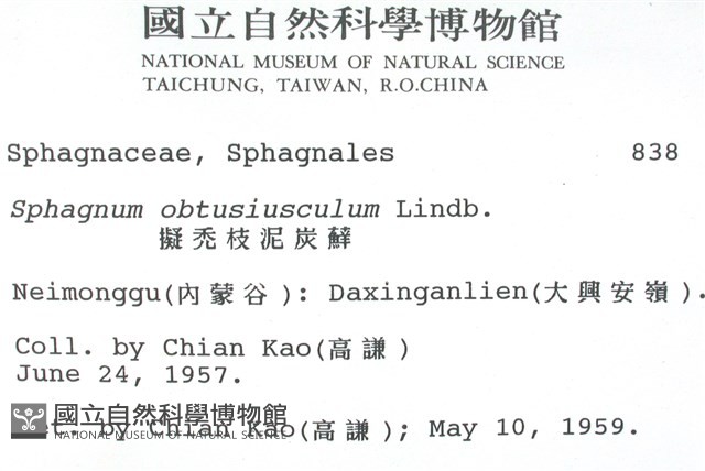 擬禿枝泥炭蘚藏品圖，第2張