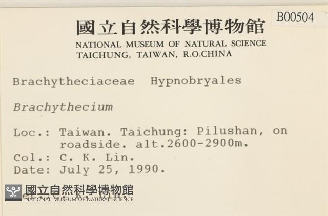 登錄號:B00000504藏品圖，第2張