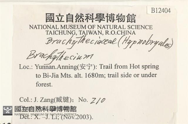 登錄號:B00012404藏品圖，第2張