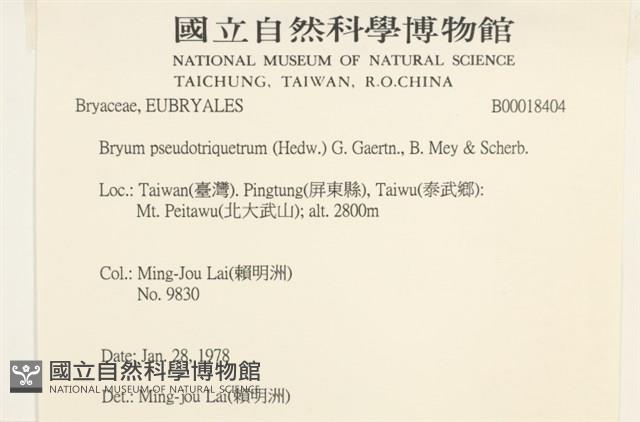 登錄號:B00018404藏品圖，第2張