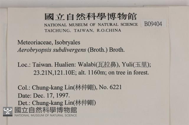 大灰氣蘚藏品圖，第2張