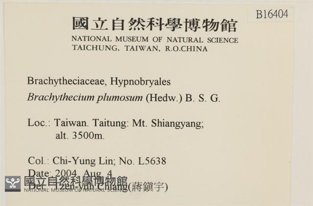羽枝青蘚藏品圖，第2張