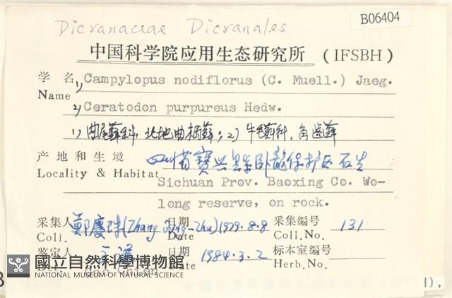 北地曲柄蘚藏品圖，第2張