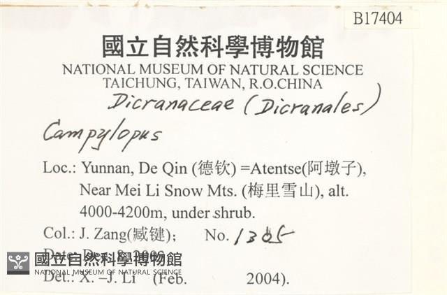 登錄號:B00017404藏品圖，第2張