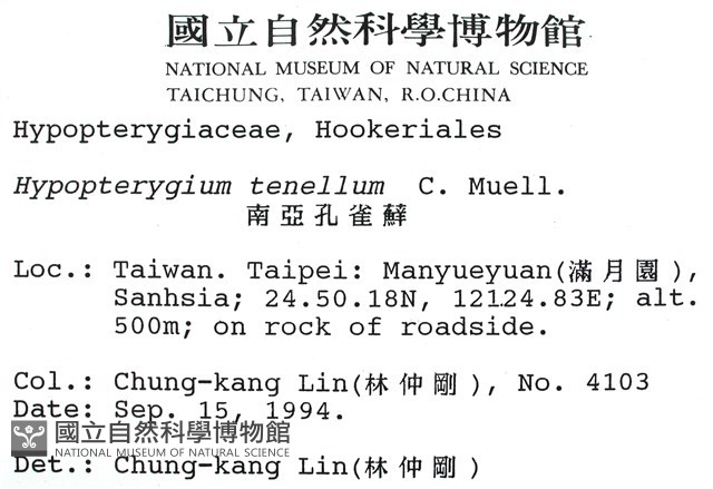 南亞孔雀蘚藏品圖，第2張