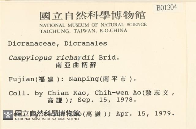 節莖曲柄蘚藏品圖，第2張