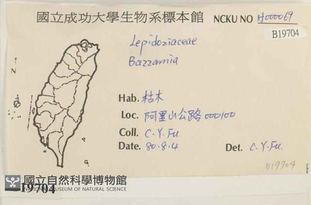 登錄號:B00019704藏品圖，第2張