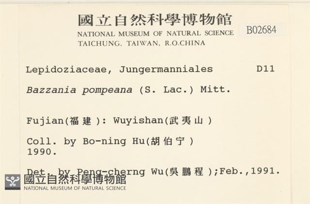 登錄號:B00002684藏品圖，第2張