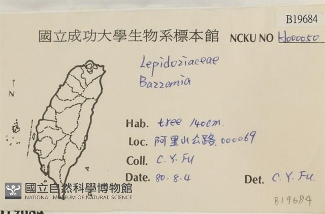 登錄號:B00019684藏品圖，第2張