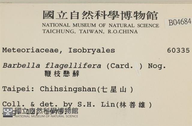 鞭枝懸蘚藏品圖，第2張