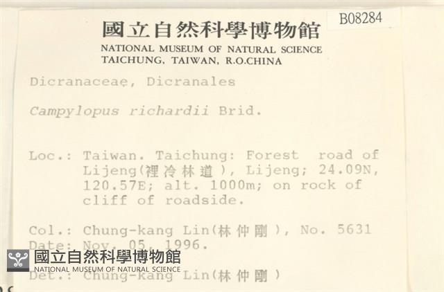 節莖曲柄蘚藏品圖，第2張