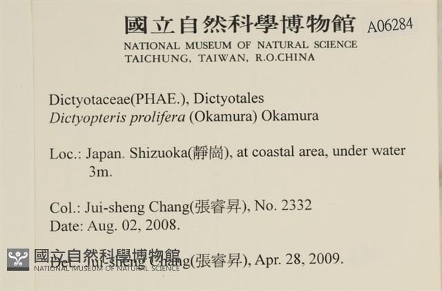 登錄號:A00006284藏品圖，第2張