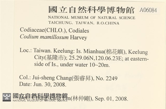 登錄號:A00006084藏品圖，第2張