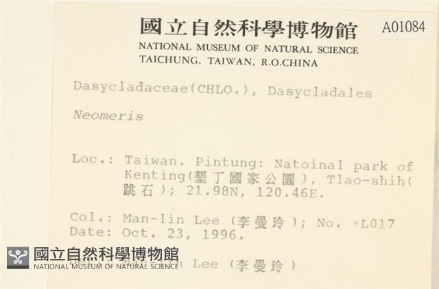 登錄號:A00001084藏品圖，第2張