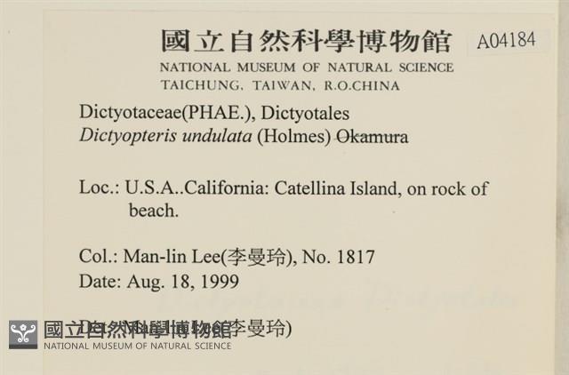 登錄號:A00004184藏品圖，第2張