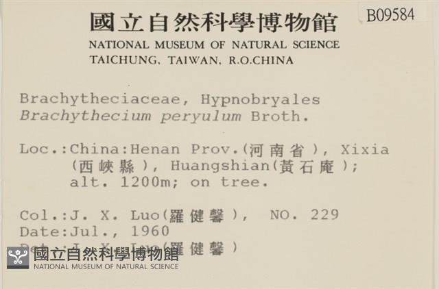 登錄號:B00009584藏品圖，第2張