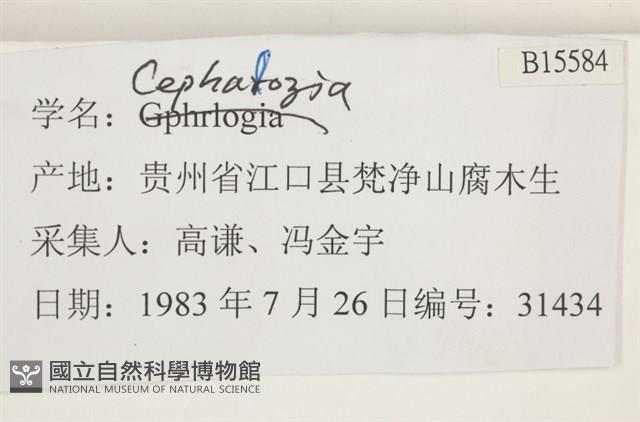 登錄號:B00015584藏品圖，第2張