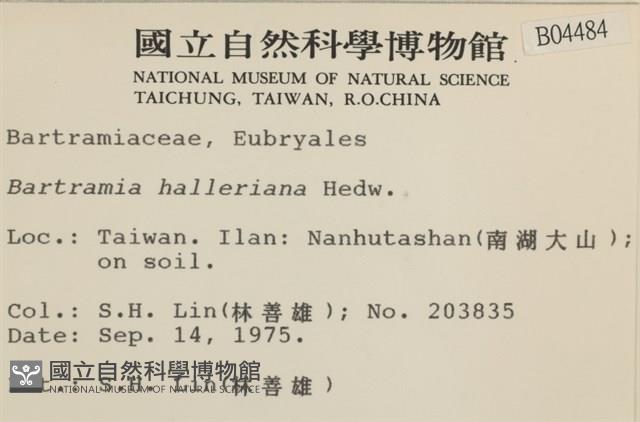 登錄號:B00004484藏品圖，第2張