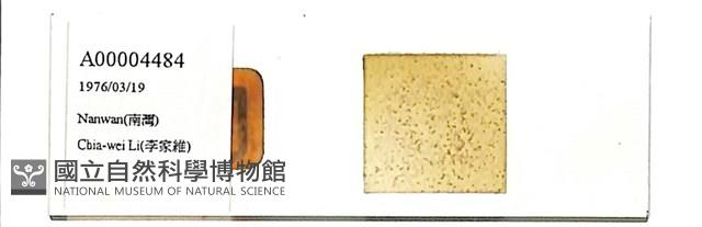 登錄號:A00004484藏品圖，第1張