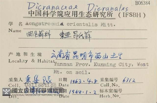 東亞昂氏蘚,東方昂氏蘚藏品圖，第2張