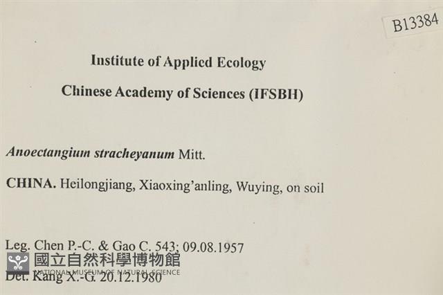 扭葉叢本蘚藏品圖，第2張