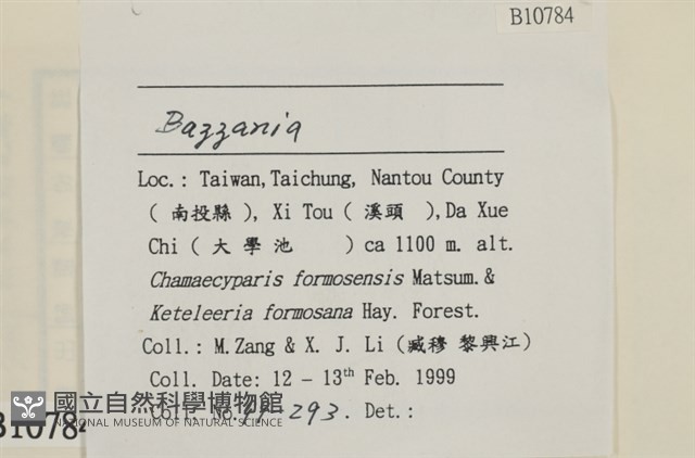 登錄號:B00010784藏品圖，第2張