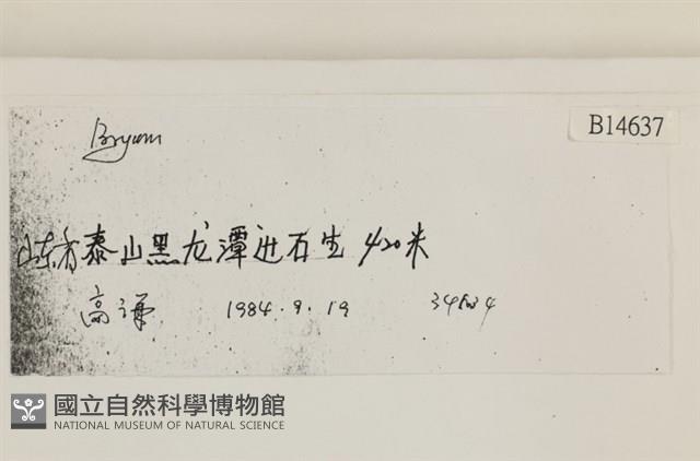 登錄號:B00014637藏品圖，第2張