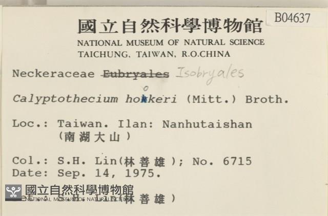 登錄號:B00004637藏品圖，第2張