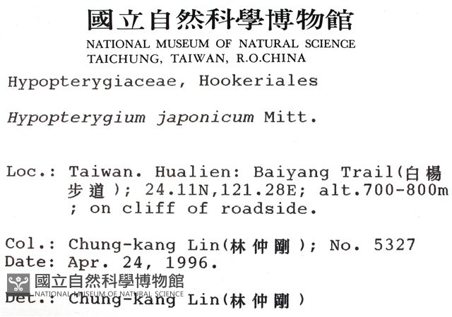 日本孔雀蘚藏品圖，第2張