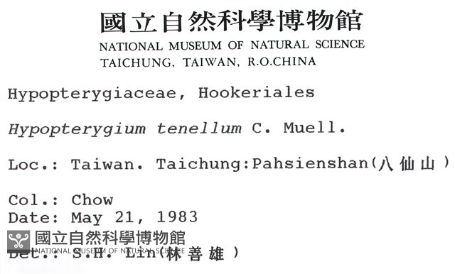 南亞孔雀蘚藏品圖，第2張