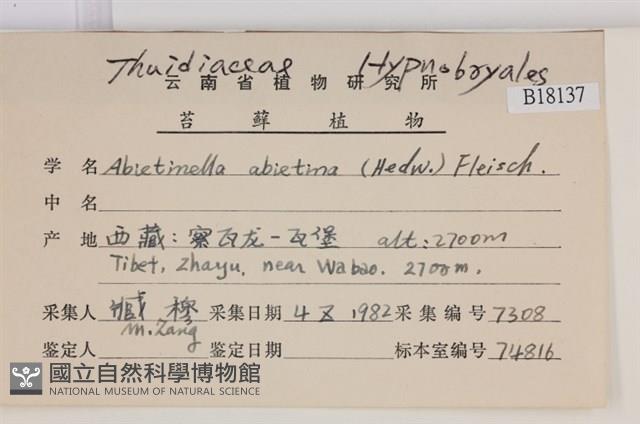 山羽蘚藏品圖，第2張