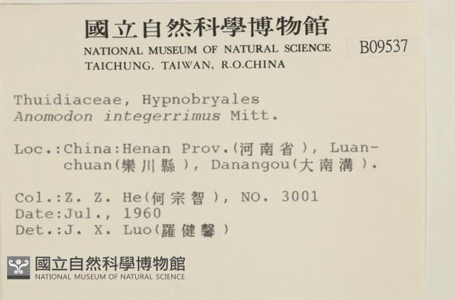 登錄號:B00009537藏品圖，第2張