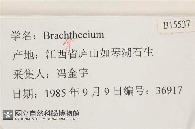 登錄號:B00015537藏品圖，第2張