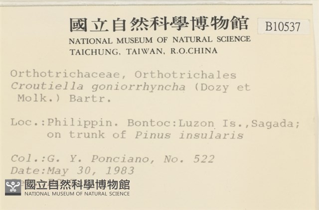登錄號:B00010537藏品圖，第2張
