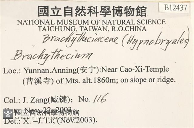 登錄號:B00012437藏品圖，第2張