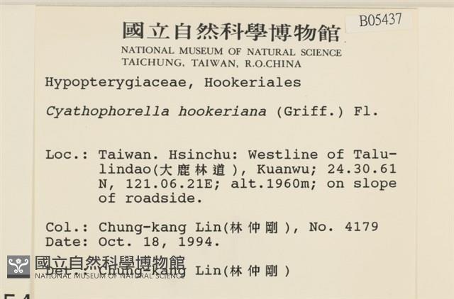 登錄號:B00005437藏品圖，第2張