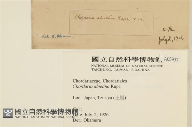 登錄號:A00003937藏品圖，第2張