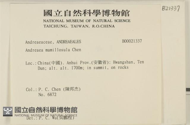 登錄號:B00021337藏品圖，第2張