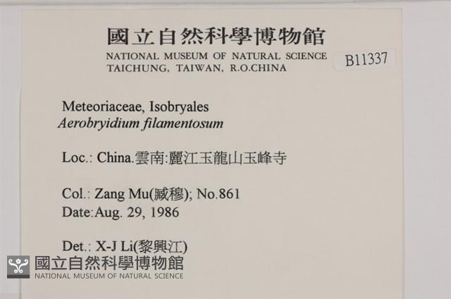 毛扭蘚藏品圖，第2張