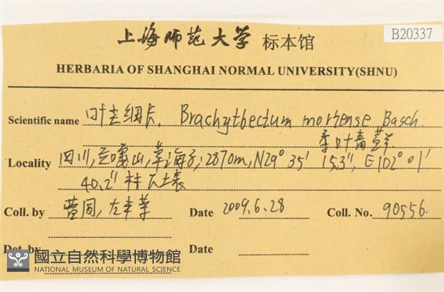 登錄號:B00020337藏品圖，第2張