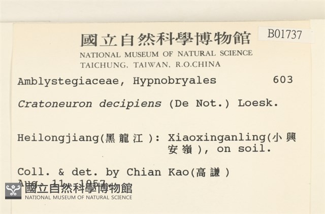 登錄號:B00001737藏品圖，第2張