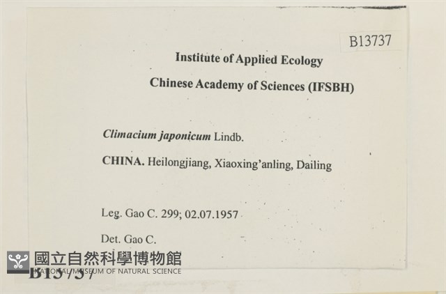 登錄號:B00013737藏品圖，第2張
