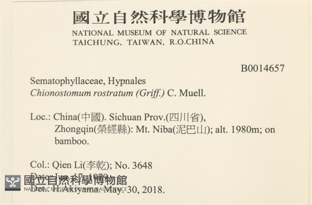 花錦蘚藏品圖，第2張