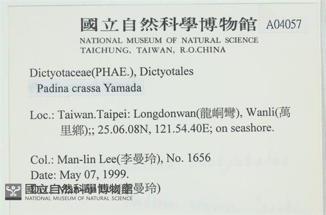 登錄號:A00004057藏品圖，第2張