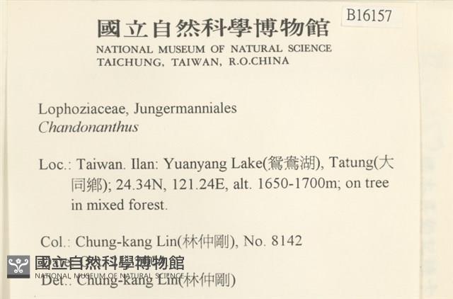 登錄號:B00016157藏品圖，第2張