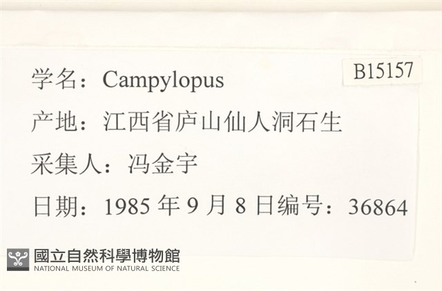 登錄號:B00015157藏品圖，第2張