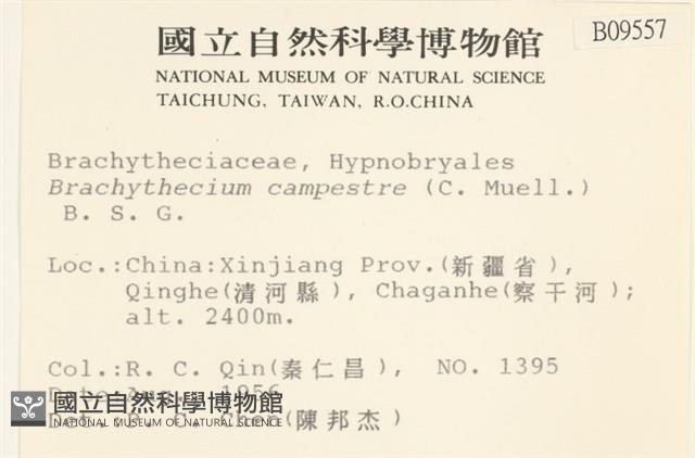 登錄號:B00009557藏品圖，第2張