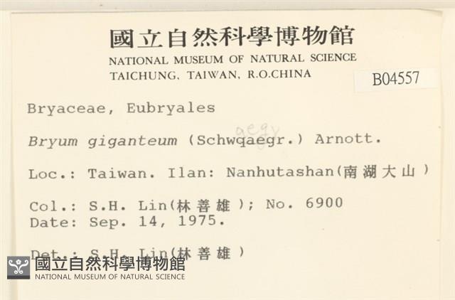 登錄號:B00004557藏品圖，第2張