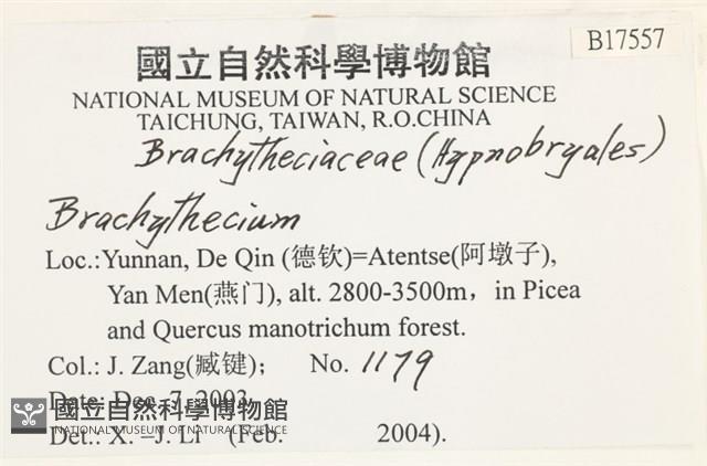 登錄號:B00017557藏品圖，第2張