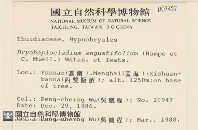 登錄號:B00003457藏品圖，第2張